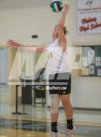 Photo from the gallery "Great Bridge @ Hickory"