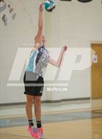 Photo from the gallery "Great Bridge @ Hickory"