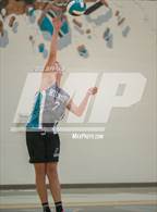 Photo from the gallery "Great Bridge @ Hickory"