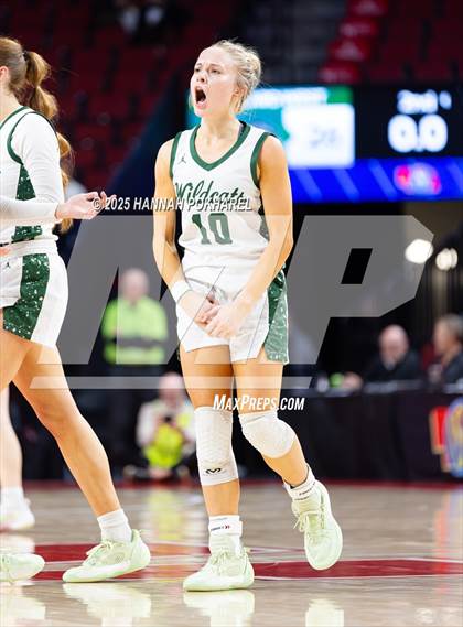 Thumbnail 1 in Millard West vs. Millard South (NSAA Class A Quarterfinal) photogallery.