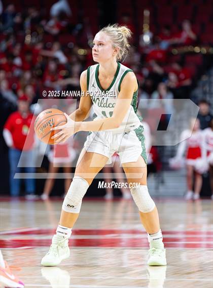 Thumbnail 1 in Millard West vs. Millard South (NSAA Class A Quarterfinal) photogallery.