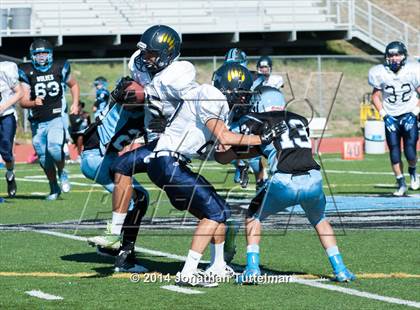 Thumbnail 1 in Palmer Ridge @ Vista Ridge photogallery.