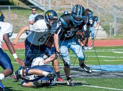 Thumbnail 3 in Palmer Ridge @ Vista Ridge photogallery.