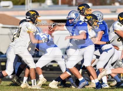 Thumbnail 1 in Holmdel @ Marlboro photogallery.