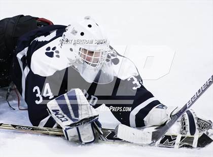 Thumbnail 1 in Williamsville North vs. Pittsford (NYSPHSAA Division I Final) photogallery.