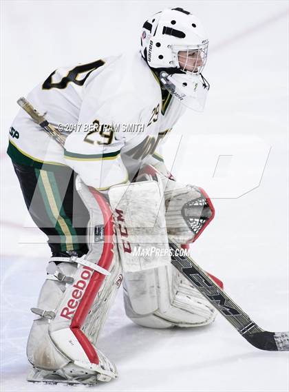 Thumbnail 3 in Williamsville North vs. Pittsford (NYSPHSAA Division I Final) photogallery.