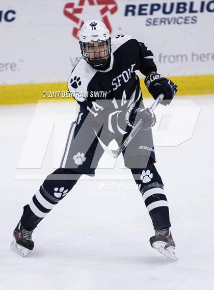 Thumbnail 2 in Williamsville North vs. Pittsford (NYSPHSAA Division I Final) photogallery.