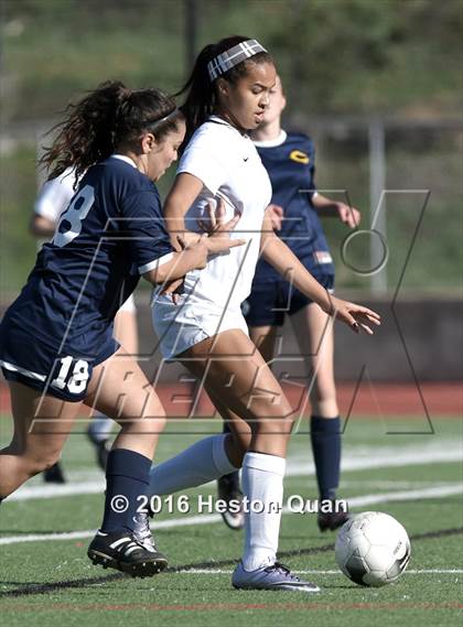 Thumbnail 3 in Carter @ Palos Verdres (CIF SS D2 Playoffs) photogallery.