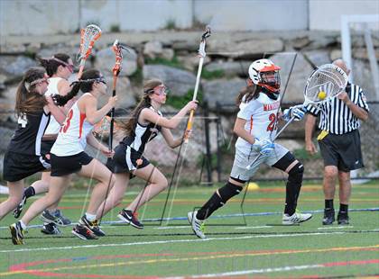 Thumbnail 1 in White Plains @ Mamaroneck photogallery.