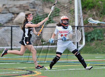 Thumbnail 2 in White Plains @ Mamaroneck photogallery.