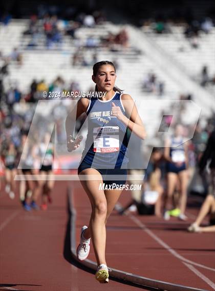 Thumbnail 2 in Penn Relays (Distance Medley) photogallery.