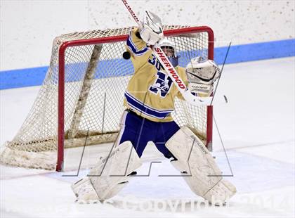 Thumbnail 1 in Tri-Town vs. Newtown (CIAC DIII Semifinal) photogallery.