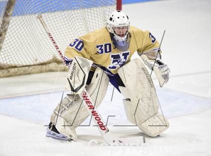 Thumbnail 3 in Tri-Town vs. Newtown (CIAC DIII Semifinal) photogallery.