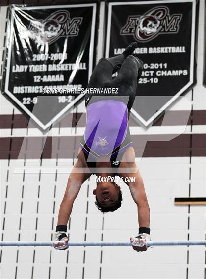 Thumbnail 3 in THSGCA State Meet (Horizontal Bar-Optional) photogallery.