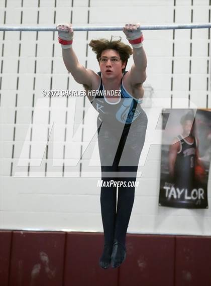 Thumbnail 1 in THSGCA State Meet (Horizontal Bar-Optional) photogallery.