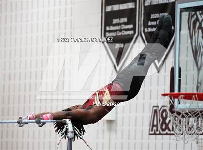Thumbnail 2 in THSGCA State Meet (Horizontal Bar-Optional) photogallery.