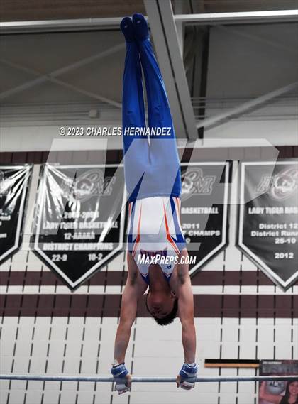 Thumbnail 1 in THSGCA State Meet (Horizontal Bar-Optional) photogallery.