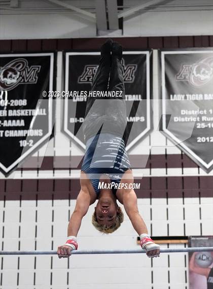 Thumbnail 3 in THSGCA State Meet (Horizontal Bar-Optional) photogallery.