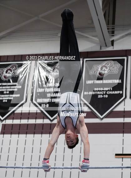 Thumbnail 1 in THSGCA State Meet (Horizontal Bar-Optional) photogallery.