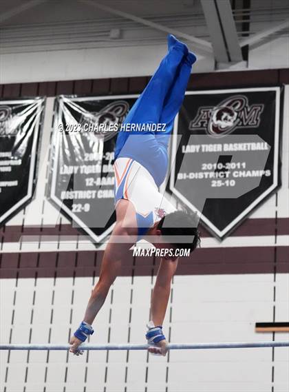 Thumbnail 3 in THSGCA State Meet (Horizontal Bar-Optional) photogallery.