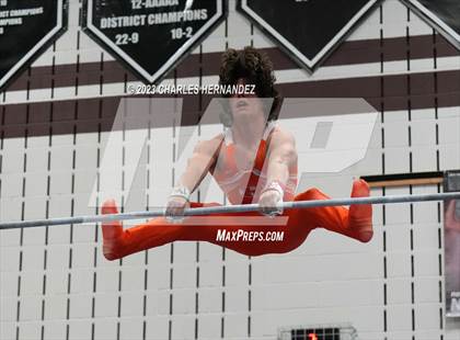 Thumbnail 1 in THSGCA State Meet (Horizontal Bar-Optional) photogallery.