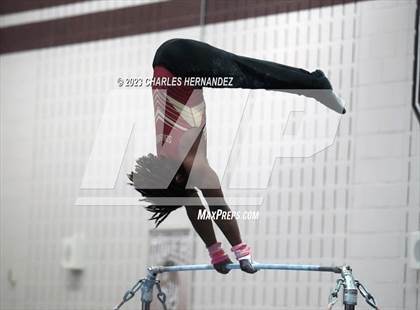 Thumbnail 3 in THSGCA State Meet (Horizontal Bar-Optional) photogallery.