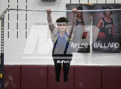 Thumbnail 2 in THSGCA State Meet (Horizontal Bar-Optional) photogallery.