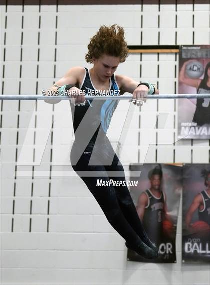 Thumbnail 1 in THSGCA State Meet (Horizontal Bar-Optional) photogallery.