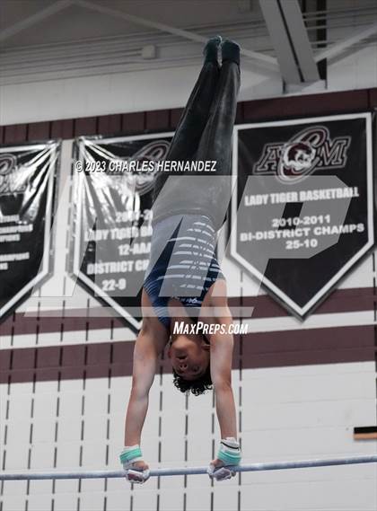 Thumbnail 1 in THSGCA State Meet (Horizontal Bar-Optional) photogallery.
