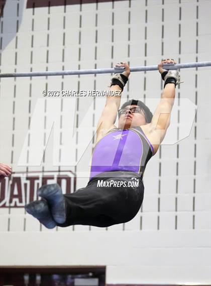 Thumbnail 2 in THSGCA State Meet (Horizontal Bar-Optional) photogallery.
