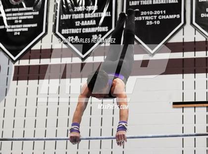 Thumbnail 3 in THSGCA State Meet (Horizontal Bar-Optional) photogallery.