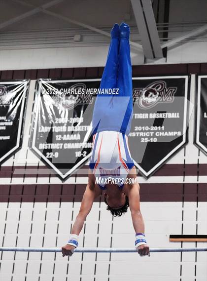 Thumbnail 1 in THSGCA State Meet (Horizontal Bar-Optional) photogallery.