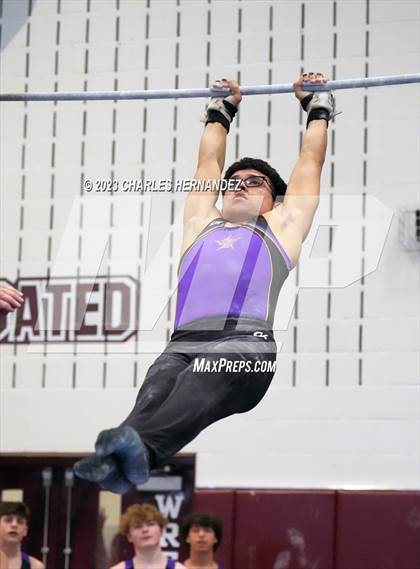 Thumbnail 1 in THSGCA State Meet (Horizontal Bar-Optional) photogallery.