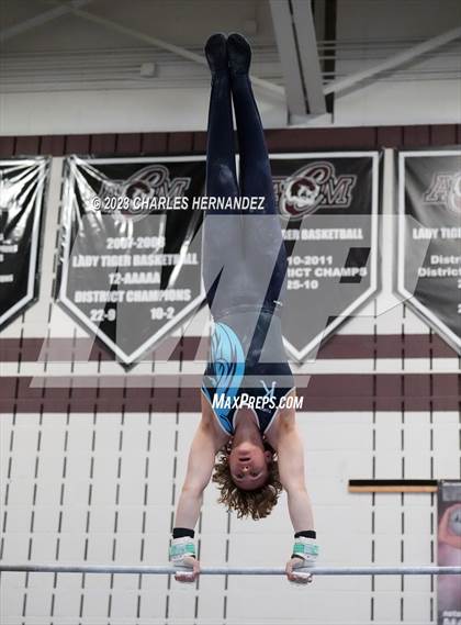Thumbnail 2 in THSGCA State Meet (Horizontal Bar-Optional) photogallery.