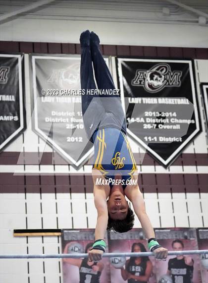 Thumbnail 3 in THSGCA State Meet (Horizontal Bar-Optional) photogallery.