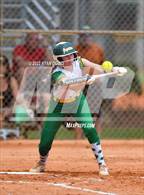 Photo from the gallery "Melbourne vs. Jupiter"