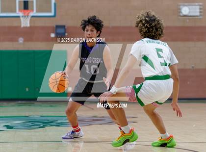 Thumbnail 1 in Spring Creek vs Virgin Valley photogallery.