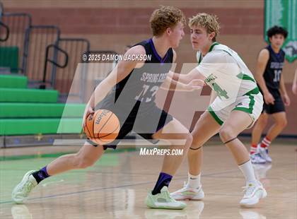 Thumbnail 1 in Spring Creek vs Virgin Valley photogallery.