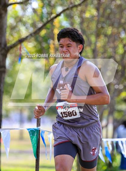 Thumbnail 3 in UIL 2A Boys Cross Country State Final photogallery.