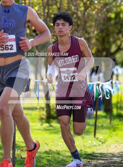 Thumbnail 3 in UIL 2A Boys Cross Country State Final photogallery.