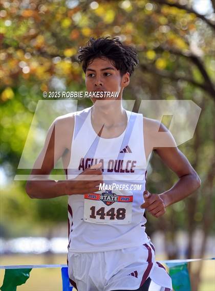 Thumbnail 2 in UIL 2A Boys Cross Country State Final photogallery.