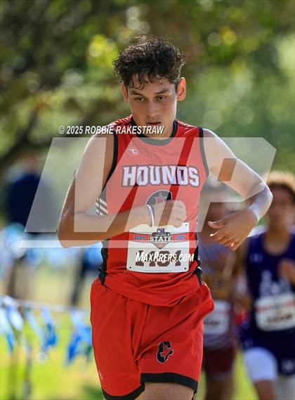 Thumbnail 2 in UIL 2A Boys Cross Country State Final photogallery.