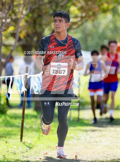 Thumbnail 1 in UIL 2A Boys Cross Country State Final photogallery.