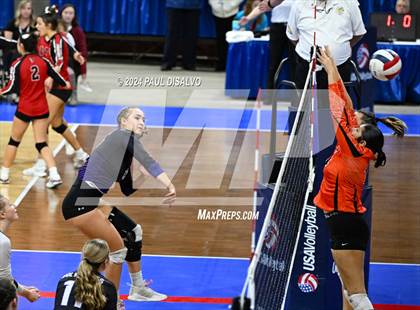 Thumbnail 3 in Lamar vs. Bayfield (CHSAA 3A 1st Round) photogallery.