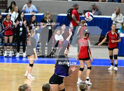 Thumbnail 3 in Lamar vs. Bayfield (CHSAA 3A 1st Round) photogallery.