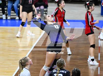 Thumbnail 3 in Lamar vs. Bayfield (CHSAA 3A 1st Round) photogallery.