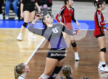 Thumbnail 2 in Lamar vs. Bayfield (CHSAA 3A 1st Round) photogallery.