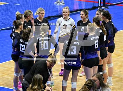 Thumbnail 2 in Lamar vs. Bayfield (CHSAA 3A 1st Round) photogallery.