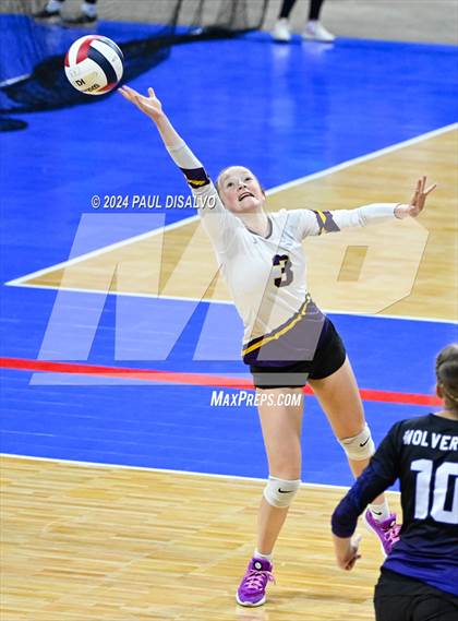Thumbnail 1 in Lamar vs. Bayfield (CHSAA 3A 1st Round) photogallery.