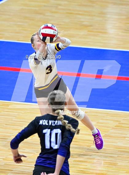 Thumbnail 1 in Lamar vs. Bayfield (CHSAA 3A 1st Round) photogallery.
